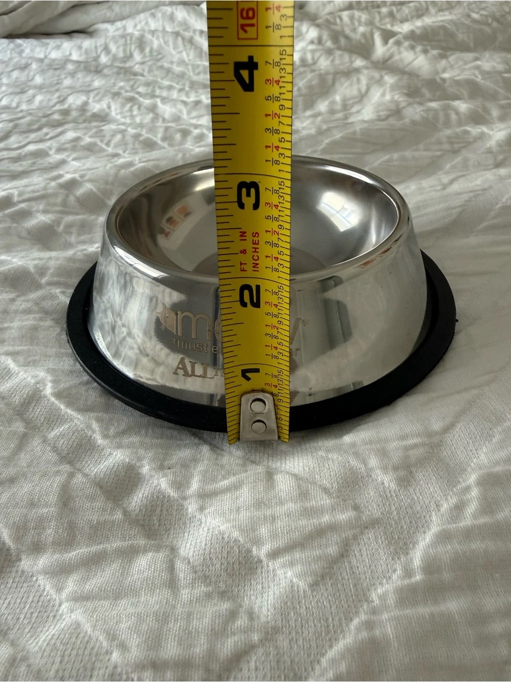 New cat dish